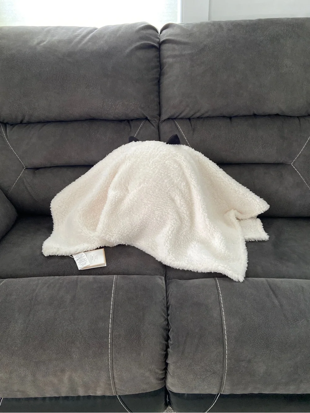 Scaredy Cat Pillow Pottery Barn NWT